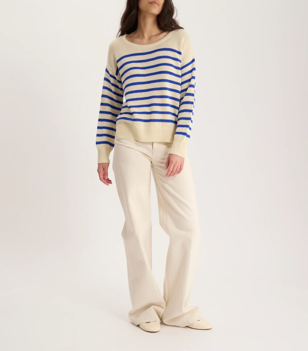 Pull Némo – 100% Coton - Bleu